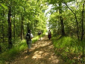 Chemins de Compostelle
